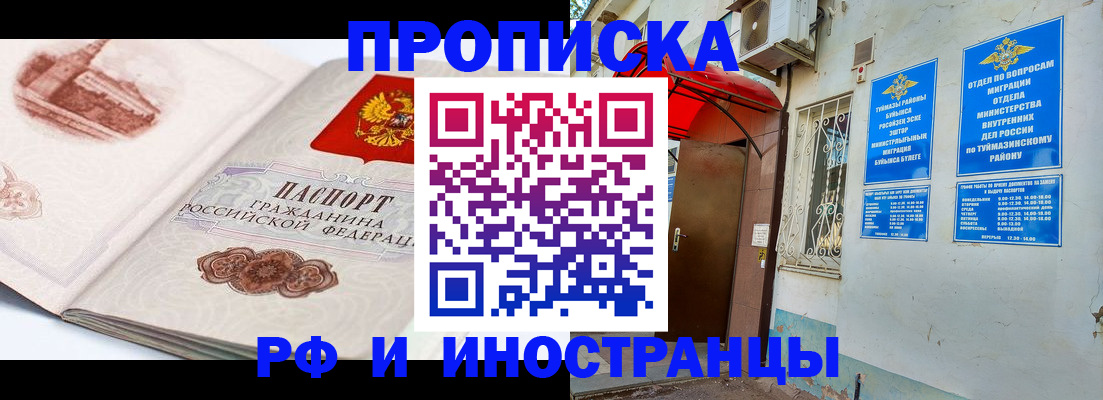 прописка законно в Борзе